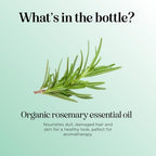 Certified Organic Rosemary Oil for Hair - Extra Large 100% Pure USDA Organic Rosemary Essential Oil for Hair Skin and Nails - Organic Hair Oil for Dry Scalp Treatment and Enhanced Volume and Shine