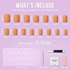 BTArtbox Press On Nails Short - Soft Gel Square Fake Nail with Nail Glue, Semi-Transparent Stick On Nails in 15 Sizes, Pumpkin Pie