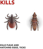 Raid Flea Killer Carpet and Room Spray, 16 oz (16 oz,Pack - 2)