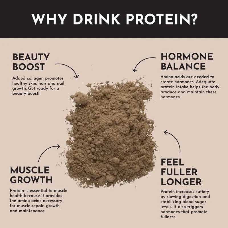 Just Ingredients Chocolate Peppermint Protein Powder