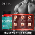 TIFALENI [bvzvo] Multimineral Sea Moss & Bladderwrack & Burdock Root & Premium Irish Seaweed - 60 Edible Gummies All-in-1 Dietary Supplement - Specification: 1 Bottle