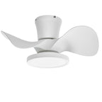 ocioc Quiet Ceiling Fan with LED Light 22 inch Large Air Volume Remote Control for Kitchen Bedroom Dining Room Patio
