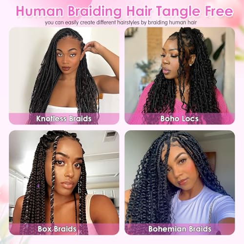 Human Braiding Hair for Boho Braids 22 Inch 110g 2 Bundles/Pack Deep Wave Boho Hair for Braiding 12A Curly Brazilian Virgin Hair Extensions No Weft Knotless Bulk Braids