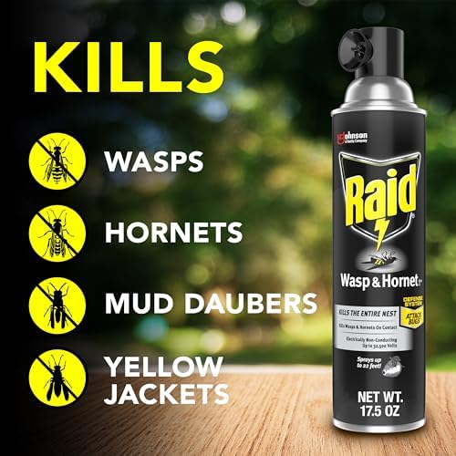 Raid Wasp and Hornet Killer (17.5 Ounce (Pack of 1))