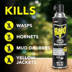 Raid Wasp and Hornet Killer (17.5 Ounce (Pack of 1))