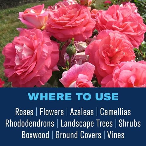 BioAdvanced Disease Control for Roses, Flowers and Shrubs, Concentrate, 32 oz