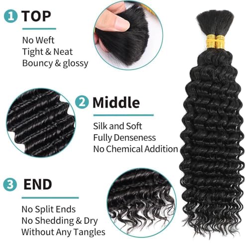 Human Braiding Hair 2 Bundles/Pack 100g Deep Wave Human Bulk Hair for Braiding No Weft 10A Brazilian Virgin Human braiding Hair for Boho Braids Extensions (Natural Color, 16 inch)