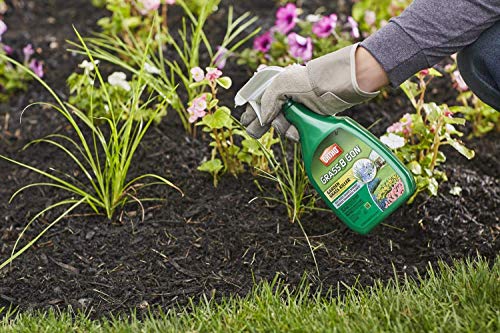Ortho Grass B Gon Garden Grass Killer, 24-Ounce (3 Pack), Ready-to-Use, Spray, Weed Killer