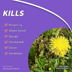 Bonide Weed Beater Lawn Weed Killer, 32 oz Concentrate, Fast-Acting Formula Kills Broadleaf Weeds Without Harming Lawn