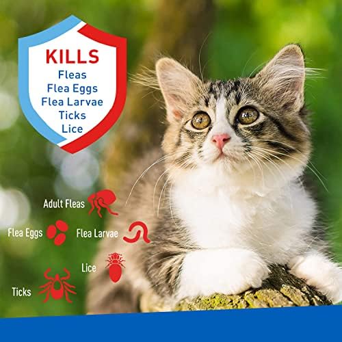 Plus Flea & Tick Foaming Shampoo & Wash for Cats & Kittens Over 12 Weeks ; Sensitive Skin Flea Treatment for Cats and Kittens ; Kills Adult Fleas, Ticks, and Lice On Contact ; 10 Oz