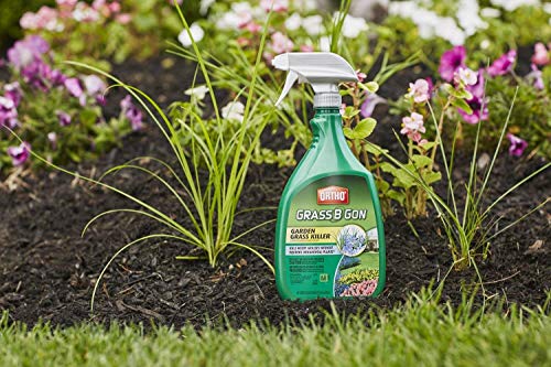 Ortho Grass B Gon Garden Grass Killer, 24-Ounce (3 Pack), Ready-to-Use, Spray, Weed Killer