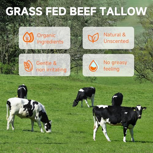 Tallow Sunscreen, Beef Tallow for Skin, Organic Beef Tallow Sunscreen, Unscented Grass-Fed Beef Tallow Natural Moisturizing Cream for All Skin Type Deep Hydration Non Greasy Anti White Cast