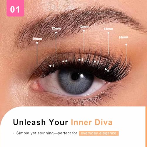 Lash Clusters Kit, Wispy Clusters Lashes Extension Kit, 144 Cluster Eyelash Extensions Soft Individual Lashes Volume, with Clusters Lash Glue Remover Applicator(01C-KitPlus)