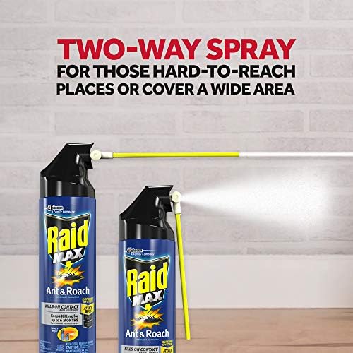 Raid Max Ant & Roach Aerosol Spray 14.50 oz (Pack of 6)