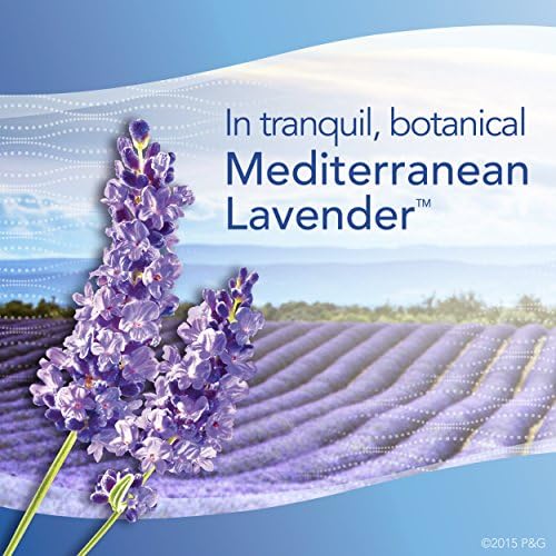 Febreze Set & Refresh - Mediterranean Lavender - Air Freshener (1/EA)