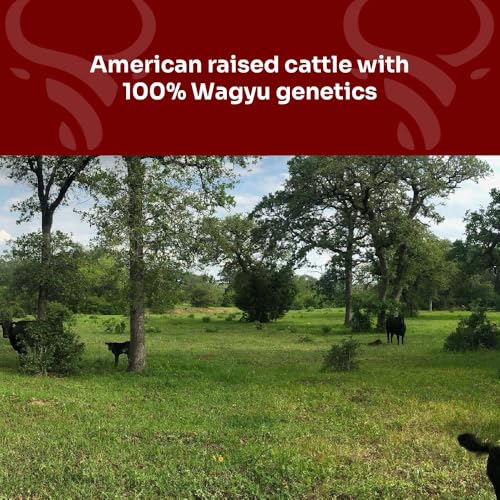Wagyu Republic Beef Tallow ⎸11oz Glass Jar, Grass Fed Wagyu Beef Tallow, Great for Cooking Steak or as Tallow Balm ⎸ Keto, Gluten Free Protein Snacks for Adults, Perfect for Whole 30 or Carnivore Diet