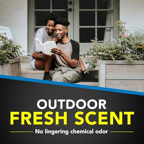 Raid Flying Insect Killer 7, Insecticide Spray with Outdoor Fresh Scent, 18 fl oz