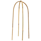 Coloch 20 Pack Bamboo U Trellis Support, 16 Inch U Loop Plant Stake Arch Garden Trellis for Potted Plants, Climbing Flowers and Vines, Ivy, Outdoor Planting