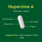 BESTVITE Huperzine A 200mcg from Naturally Derived Huperzia Serrata (120 Vegetarian Capsules) - No Stearates - No Flow Agents - Vegan - Non GMO - Gluten Free - Superior Form of Huperzine A