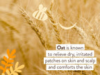 Babo Botanicals Moisturizing Oat & Calendula 2-in-1 Bubble Bath & Wash - for Dry or Sensitive Skin - for All Ages - Vegan - Lightly Scented - 1 or 2 Pack
