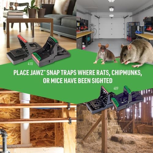 JT Eaton 410B-6 Jawz Plastic Rat Trap for Solid Or Liquid Bait, Pack of 6