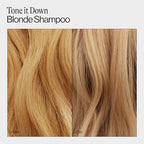 Eva NYC Lift Off Volume Shampoo
