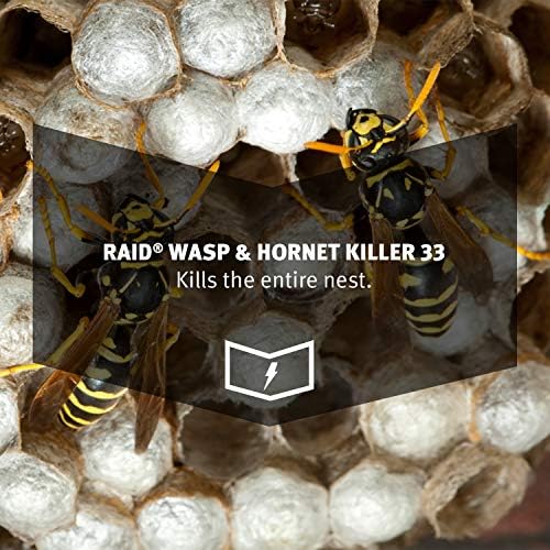 Raid Wasp and Hornet Spray- 17.5 Ounces - 3 Pack