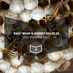 Raid Wasp and Hornet Spray- 17.5 Ounces - 3 Pack