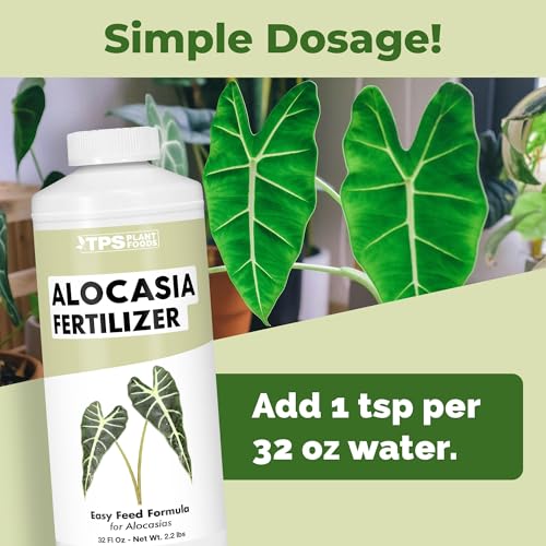 Alocasia Fertilizer, Complete Liquid Alocasia Plant Food, 8 oz (250mL)