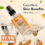 Snail Mucin Serum Vitamin C Face Serum Anti Aging with Hyaluronic Acid Niacinamide Retinol MSM Aloe Vera & Ceramides - Korean Skin Care Glass Skin Dark Spot Remover for Glowing Skin & Beauty (1 Pack)