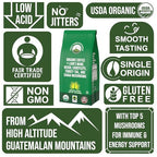 Organic Low Acid Mushroom Coffee with Lion's Mane, Reishi, Cordyceps, Turkey Tail, and Chaga Mushrooms. Premium High Altitude Medium Roast Ground Bags. Great Tasting (Unlike Cheap Instant Coffee)