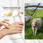 Beef Tallow for Skin: Organic Grass-Fed Tallow and Honey Balm Whipped Beef Tallow Skin Balm - Deep Nourishing Tallow Face Moisturizer for All Skin Types