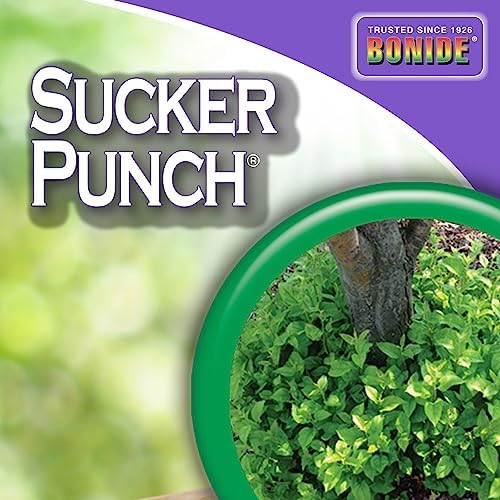 Bonide Sucker Punch, 32 oz Ready-to-Use Spray, Control Unwanted Plant Sprouts, Plant Growth Regulator for Home Garden