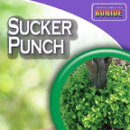Bonide Sucker Punch, 32 oz Ready-to-Use Spray, Control Unwanted Plant Sprouts, Plant Growth Regulator for Home Garden