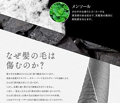 アイナボーテ トリートメント不要 PPTコラーゲン＆シルクシャンプー400ml 脂性肌用(男性) 約４ヶ月分