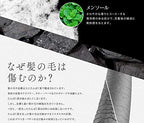 アイナボーテ トリートメント不要 PPTコラーゲン＆シルクシャンプー400ml 脂性肌用(男性) 約４ヶ月分