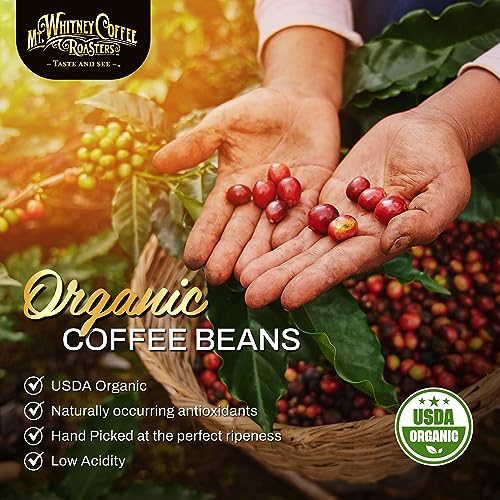 Mt. Whitney Organic Papua New Guinea, Medium Dark Roast, Low Acid Coffee (Whole Bean, 2Lb)