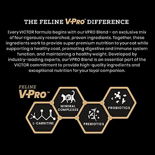 Victor Super Premium Cat Food – Hi-Pro Plus Active Cat and Kitten – Dry Cat Food for Active Cats – All Breeds and All Life Stages from Kitten to Adult, 5lb