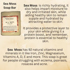 Sea Moss Soap 2 bars| Handmade| For All Skin Types Acne, Eczema, Psoriasis | Shea Butter, All Natural, Body and Face, Dr. Sebi Inspired, Vegan, Gluten Free, Men & Women, Moisturizing, Essential Oils