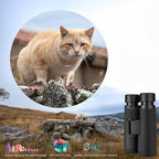 Hontry 10x42 Binoculars with IPX7 Waterproof Protection for Bird Watching, Hunting, Cruise Ship, Travel and Safari