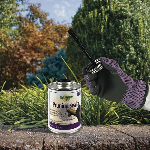 Bonide Garden Rich Pruning Sealer with Brush Top Applicator, 16 oz Ready-to-Use Protective Seal for Trees, Shrubs, Roses
