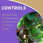 Bonide Captain Jack's Copper Fungicide, 32 oz Ready-to-Spray Disease Control Solution for Organic Gardening, Controls Leaf Curl