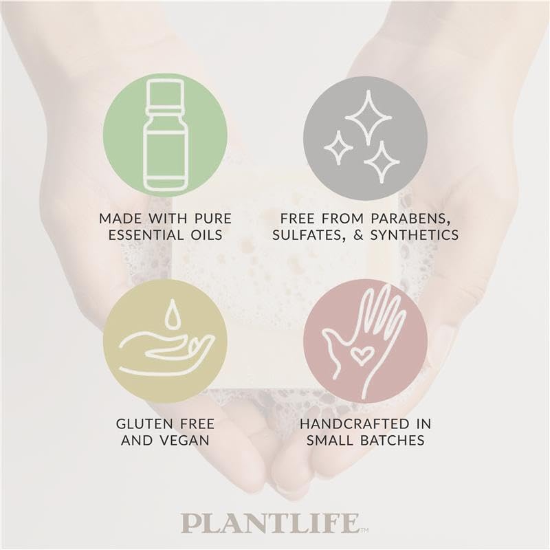 Plantlife Frankincense Myrrh 3-Pack Bar Soap - Moisturizing and Soothing Soap for Your Skin - Hand Crafted Using Plant-Based Ingredients - Made in California 4oz Bar
