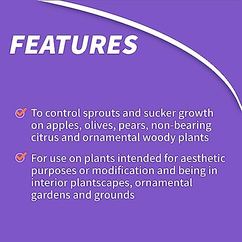 Bonide Sucker Punch, 8 oz Ready-to-Use Sprout Control Liquid with Brush Applicator, Plant Growth Regulator
