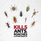 Raid Ant & Roach Killer Spray For Listed Bugs, Keeps Killing for Weeks, Lavender Scent, 12 oz