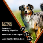 Victor Super Premium Dog Food – Chicken Meal & Brown Rice Formula - Dry Dog Food for All Normally Active Dogs of All Life Stages – Ideal for Dogs with Meat Protein Allergies, 40 lb