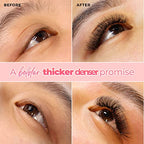 LLBA LashFolio Narrow Promade Fans | Handmade Volume Eyelashes | Multi Selections 5D~10D | C CC D Curl | Thickness 0.03~0.07mm | 8-15mm Length | Long Lasting & Easy Application (5D-0.07 CC 8mm-11mm)