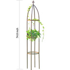 100% Metal Garden Obelisk Trellis Heavy Duty 6.3 ft Tall for Climbing Vines