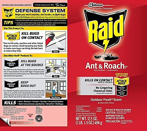 Raid Ant & Roach Spray Outdoor Fresh 17.50 oz (Pack of 3)