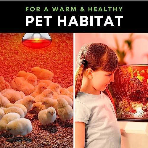 250 W att R40 Incandescent Light Bulbs (2-Pack) - Bathroom Infrared Heat Lamp for Chickens Chicks Puppies Reptiles Livestock Poultry , Sauna Red Light Therapy Bulb | 2,000 Hour Rated, E26 Base, 120V